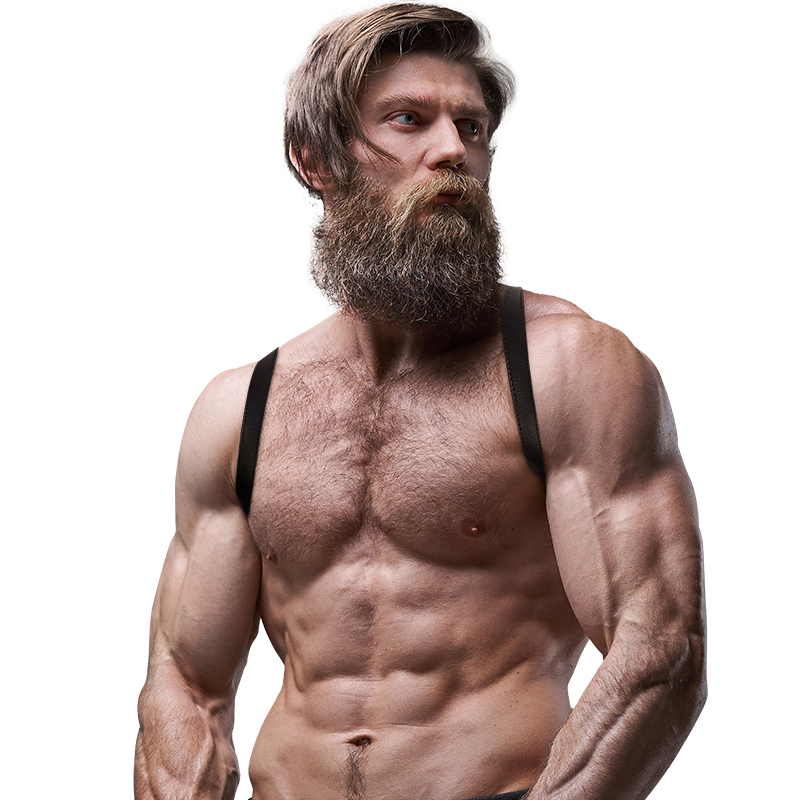 FETISH SUBMISSIVE ATTITUDE - MENS ECO-LEATHER BACK HARNESS